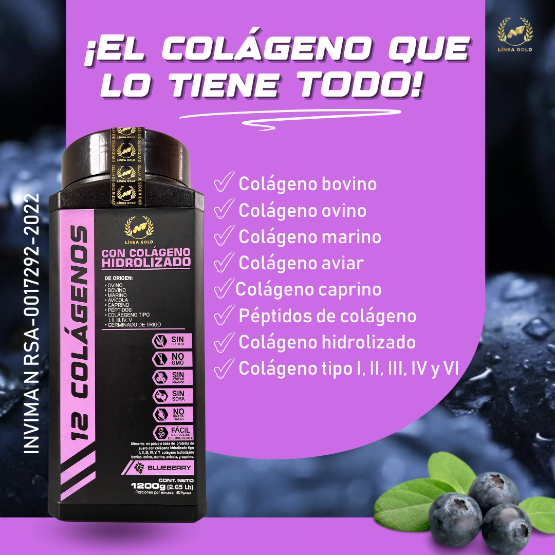 12 COLÁGENOS HIDROLIZADOS LÍNEA PREMIUM X1200 GR
