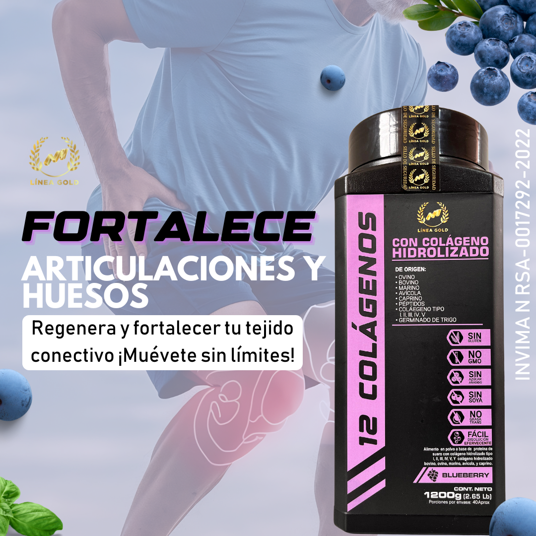 12 COLÁGENOS HIDROLIZADOS LÍNEA PREMIUM X1200 GR